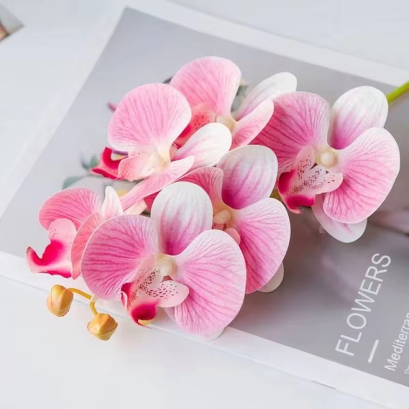 3D 造花プラスチック蝶蘭ホーム花瓶テーブル装飾結婚式屋外ガ - Florist Supply Vases のレビューと価格