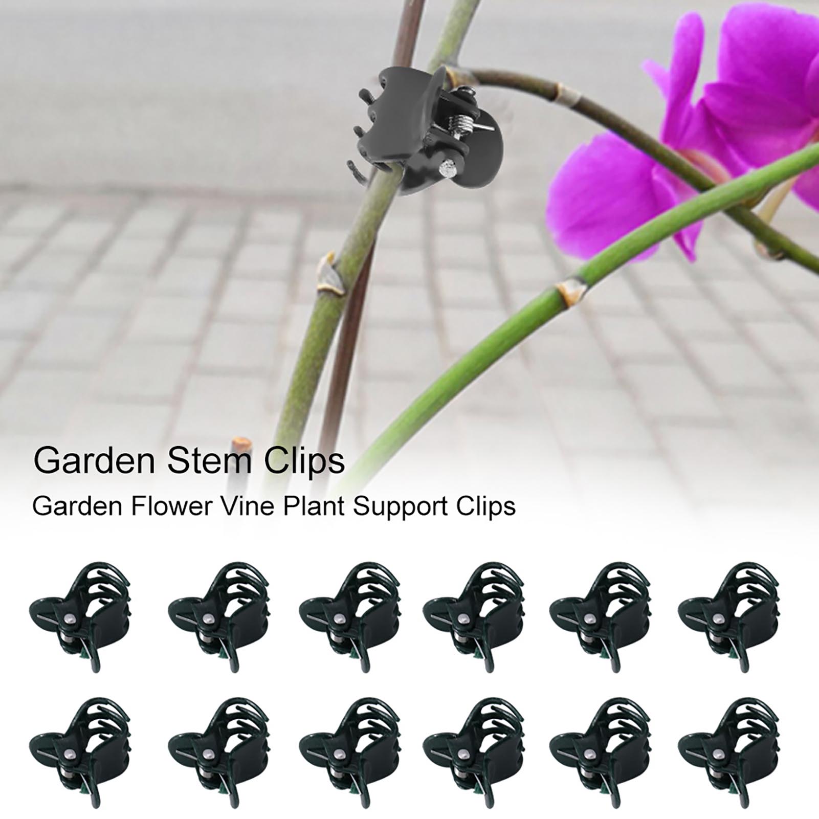 ミニガーデンフラワークリップ、蘭、デイジー、茎の植物サポート - Florist Supply Bulk のレビューと価格